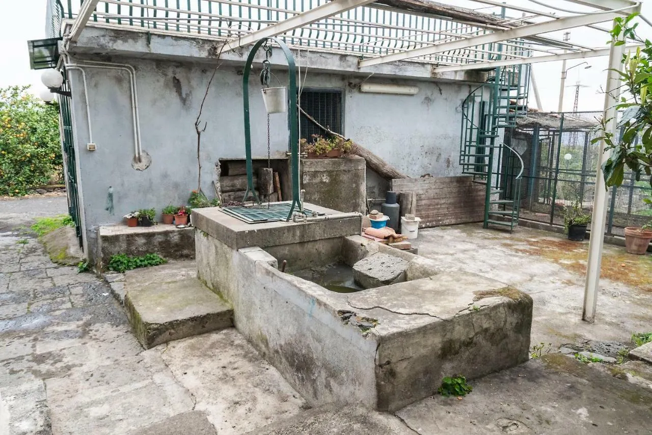 Casa Rosario Apartment Riposto Italy
