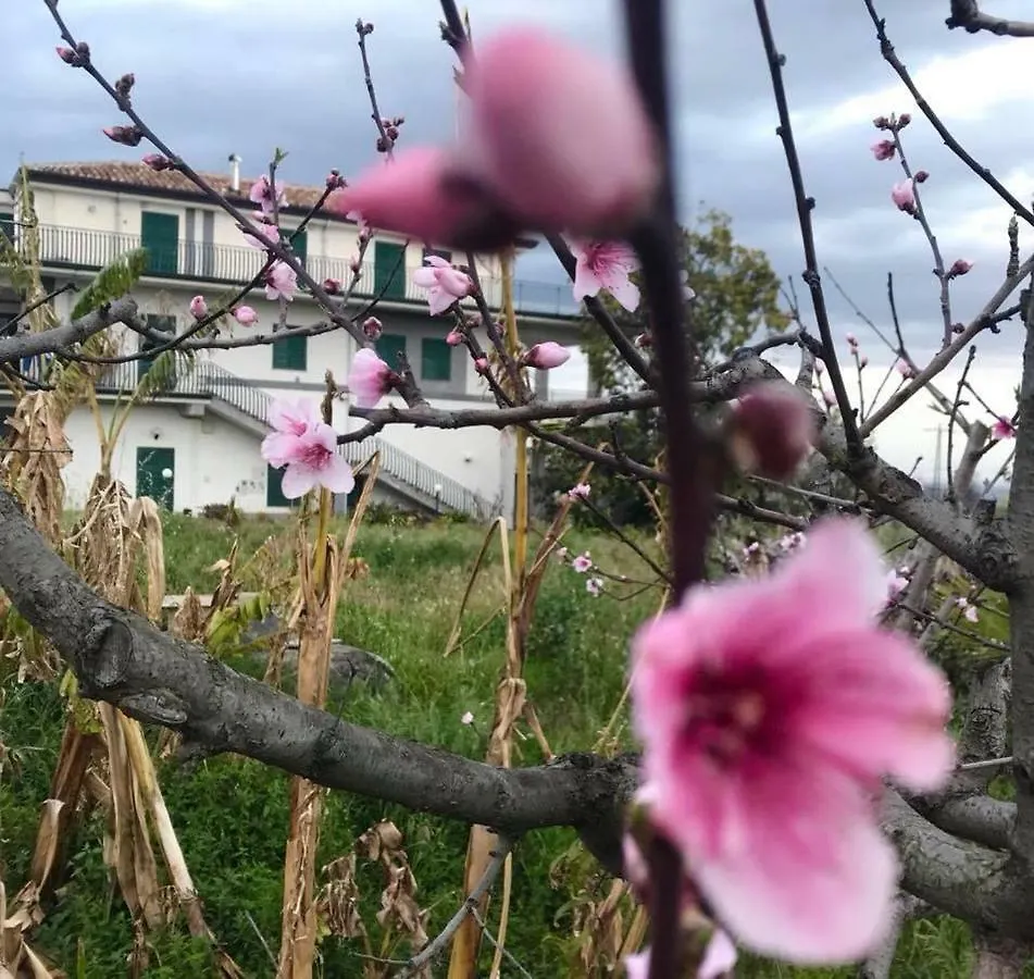 Casa Rosario Apartment Riposto Italy